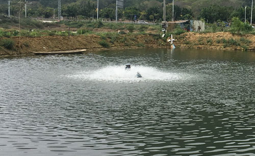 What is Meant by Pure Oxygen Aeration?