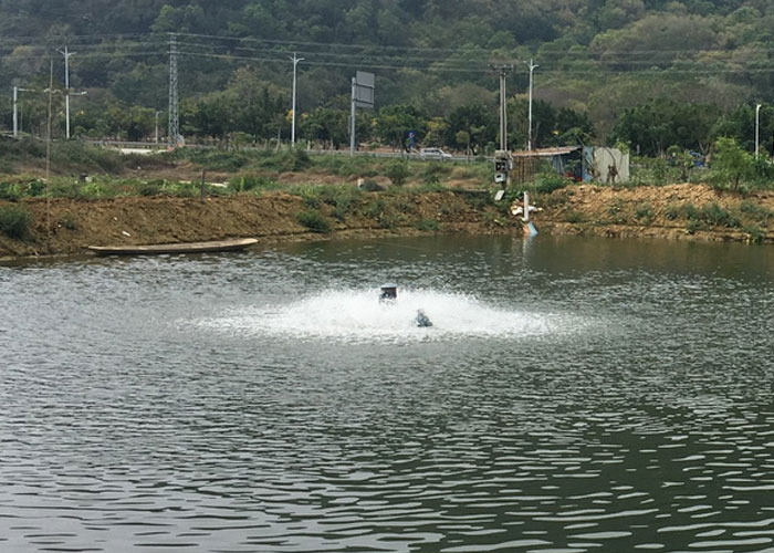 What is Meant by Pure Oxygen Aeration?